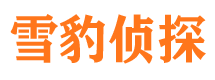 循化寻人公司